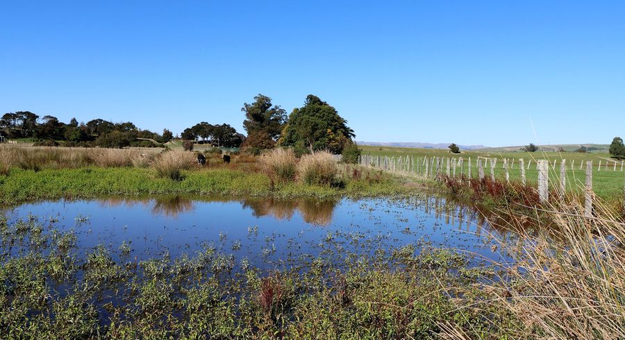  at 164 Dorset Road, East Taratahi, Carterton