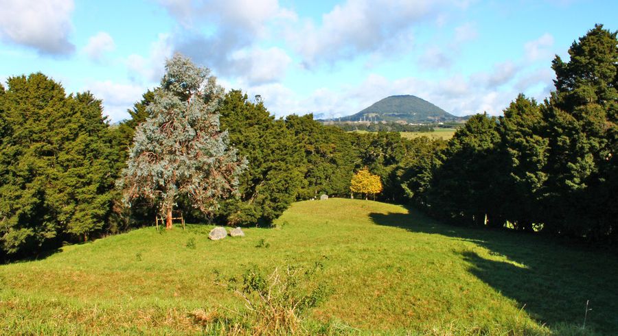  at 13A Newton Road, Whangarei