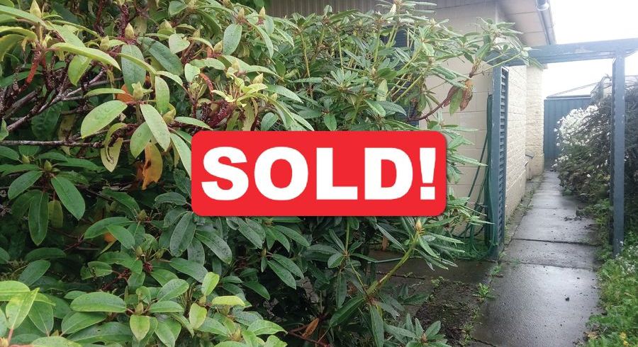  at 5 Hastings Street, Waikiwi, Invercargill