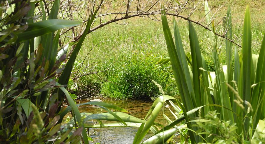  at 0 Hanning Road, Earnscleugh, Alexandra