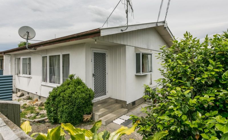  at 1/204A Park Road South, Akina, Hastings