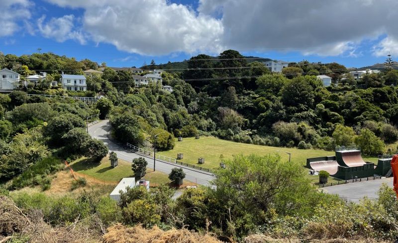  at 76 Curtis Street, Northland, Wellington