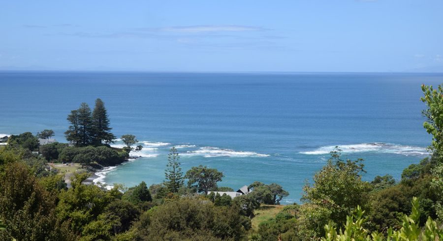  at 115 Leigh Road, Warkworth