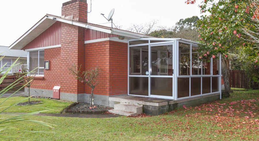  at 19 Macmurdo Avenue, Glenview, Hamilton