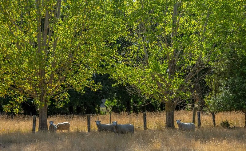  at 692 State Highway 2, Masterton
