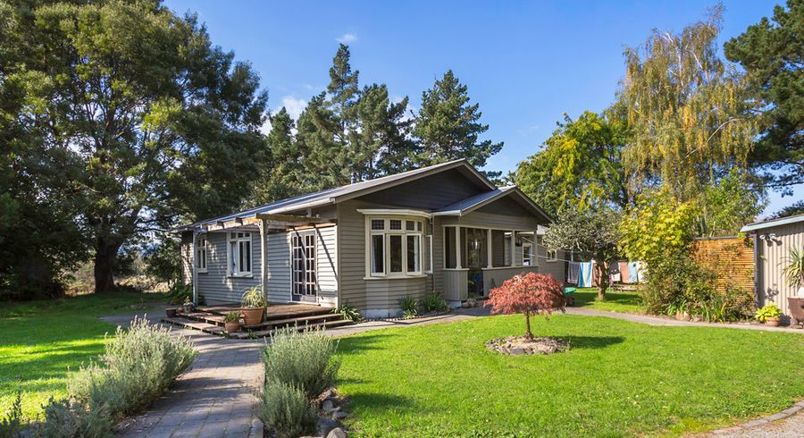  at 15 Hillcrest Road, Palmerston North