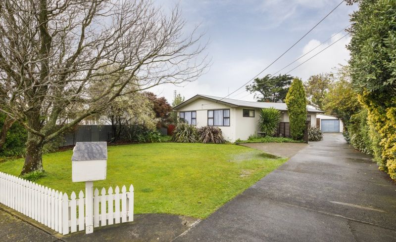  at 17 Leeds Street, Milson, Palmerston North
