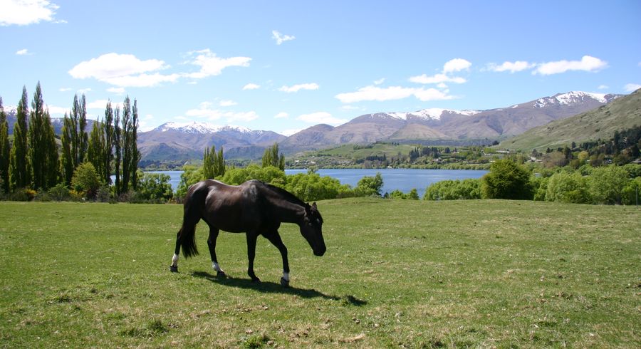  at 0 Walnut Lane, Lake Hayes, Queenstown