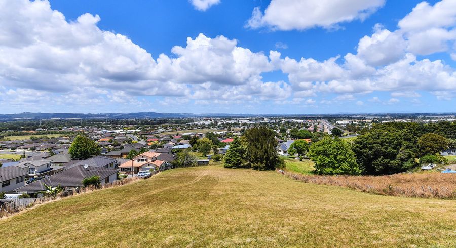  at 40 Nanleen Rise, Manurewa, Auckland