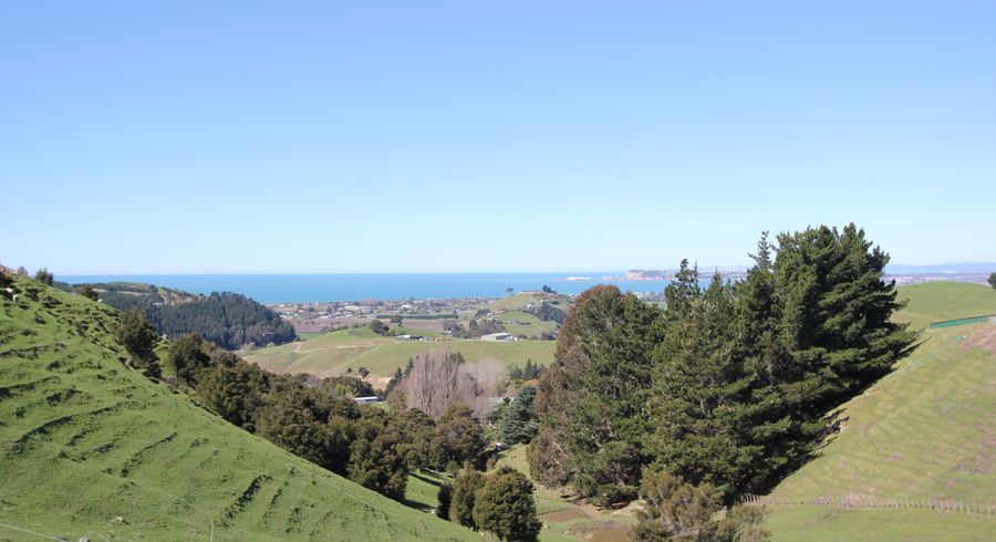  at 170 Eskridge Drive, Eskdale, Napier