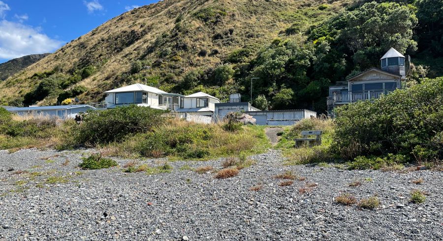  at 160 Owhiro Bay Parade, Owhiro Bay, Wellington