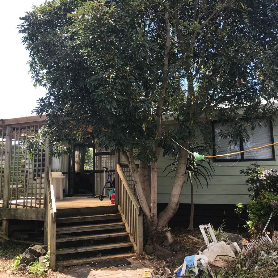 Free property data for 2/114 Mahia Road, Manurewa, Auckland homes.co.nz