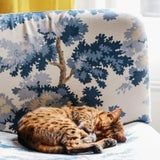 Ray White Papatoetoe