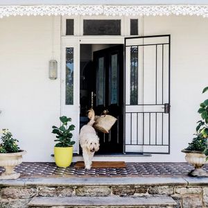 Ray White Timaru